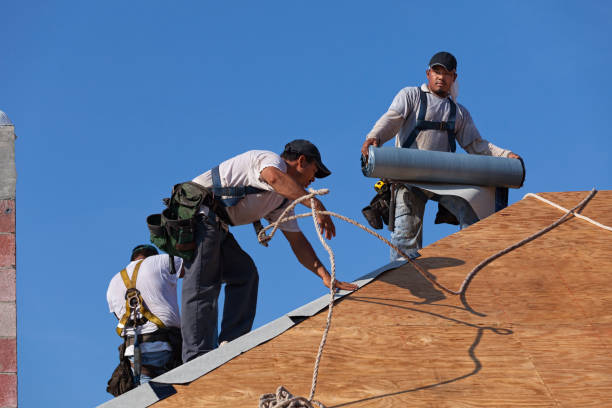 Best Commercial Roofing Services  in El Jebel, CO